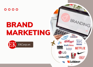 Brand Marketing là gì?