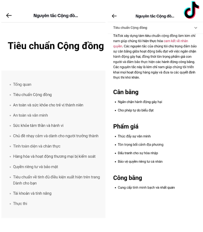 Cách xây kênh TitTok: Nắm vững chính sách của nền tảng TikTok